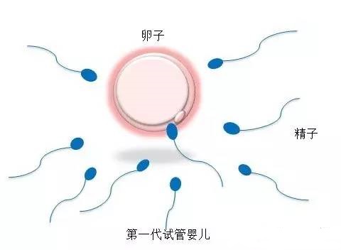 当院について